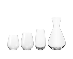 SPIEGELAU Authentis Casual All Purpose Tumbler in the group