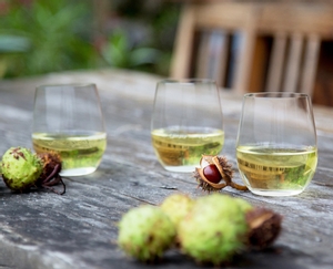 RIEDEL O Wine Tumbler Viognier/Chardonnay im Einsatz