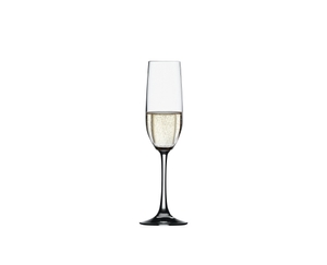 SPIEGELAU Vino Grande Champagne Flute filled with a drink on a white background