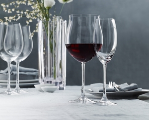 NACHTMANN Vivendi Champagner Flöte 