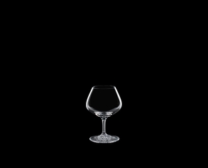 SPIEGELAU Perfect Serve Nosing Glass on a black background