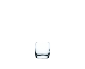 NACHTMANN Vivendi Whisky Tumbler Set/4 on a white background