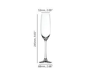 overførsel Fil kantsten SPIEGELAU Salute Champagne Glass