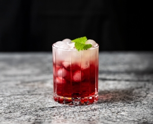 RIEDEL Drink Specific Glassware Double Rocks Glass in use