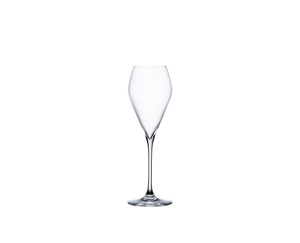 SPIEGELAU Special Glasses Champagne Sparkling Party - 230 ml 