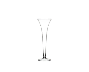 RIEDEL Sommeliers Sparkling Wine on a white background