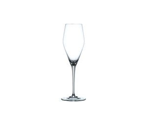 NACHTMANN ViNova Champagne Glass on a white background