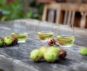 4 white wine filled RIEDEL O Wine Tumbler Viognier/Chardonnay on a wooden outdoor table, which is decorated with chestnuts.