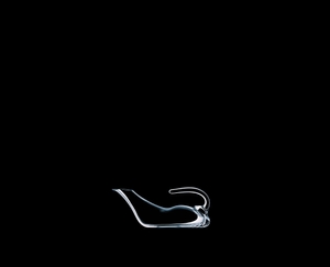 RIEDEL Decanter Duck R.Q. on a black background