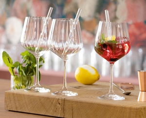 NACHTMANN Tastes Good 4 Gin & Tonic Glasses + Straws