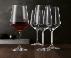 SPIEGELAU Style Rotweinglas im Einsatz