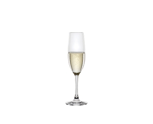 SPIEGELAU Winelovers Champagne Flute filled with a drink on a white background