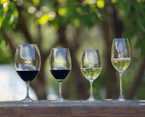 RIEDEL Ouverture White Wine/Magnum/Champagne Glass in use