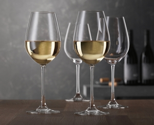 SPIEGELAU Salute White Wine in use