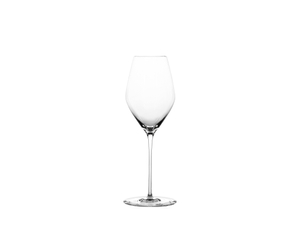 SPIEGELAU Hi-Lite Champagne Glass 