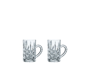Two unfilled NACHTMANN Noblesse Hot Beverage Glasses side by side