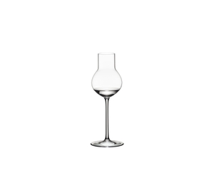 RIEDEL Sommeliers Stone Fruit filled with a drink on a white background