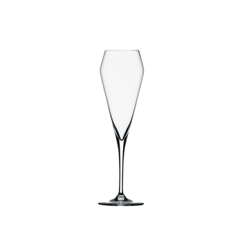 SPIEGELAU Willsberger Anniversary Champagnerflöte auf weißem Hintergrund