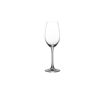 NACHTMANN ViVino Champagne Glass rempli avec une boisson sur fond blanc