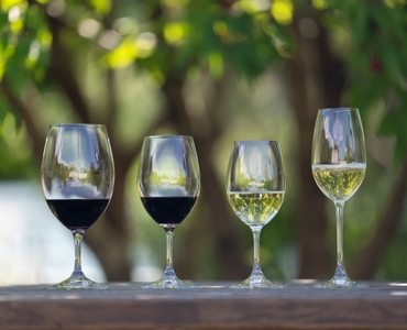 RIEDEL Ouverture White Wine/Magnum/Champagne Glass in use