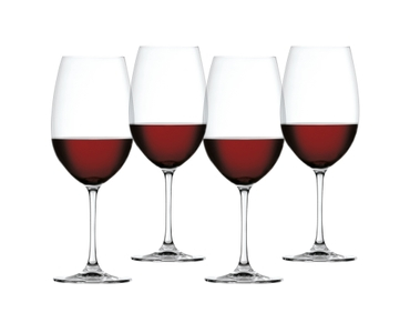 Spiegelau Definition Stemmed White Wine Glasses - European-Made