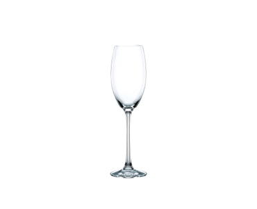 NACHTMANN Vivendi Champagnerglas auf weißem Hintergrund