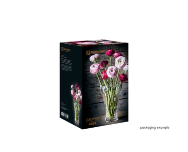NACHTMANN Calypso Vase - 27cm | 6.811in nella confezione