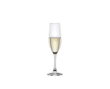 SPIEGELAU Winelovers Champagne Flute 