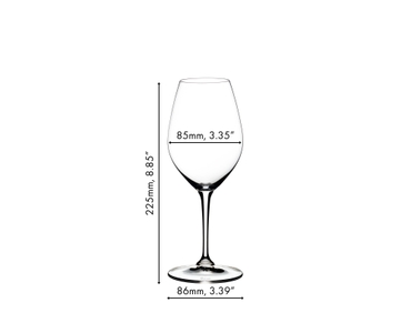 A filled RIEDEL Vinum Champagne Wine Glass on white background