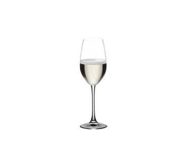 NACHTMANN ViVino Champagne Glass filled with a drink on a white background