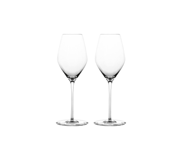 SPIEGELAU Hi-Lite Champagne Glass 