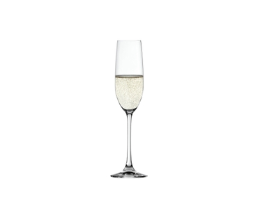 SPIEGELAU Salute Bicchiere da Champagne 