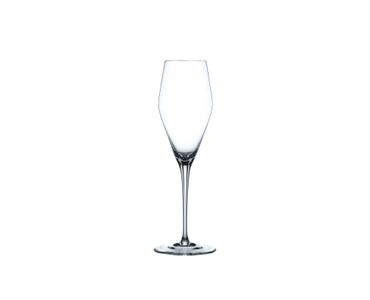 NACHTMANN ViNova Champagnerglas auf weißem Hintergrund