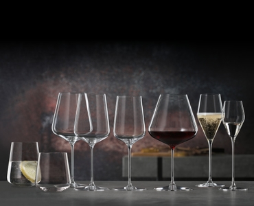 SPIEGELAU Definition Champagne Glass in the group