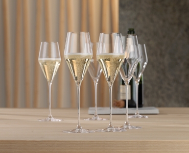 2 unfilled SPIEGELAU Definition Champagne Glasses side by side on white background