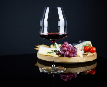 RIEDEL Winewings Tasting Set in use