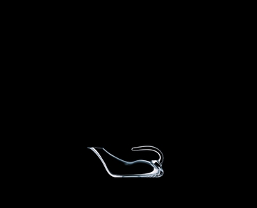 RIEDEL Decanter Duck on a black background