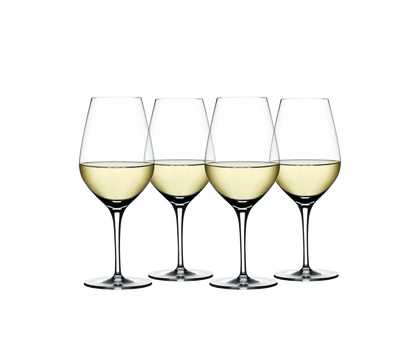 Spiegelau | Authentis | Wine Glasses