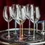 RIEDEL Fatto A Mano Champagne Wine Glass - white en action