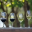 RIEDEL Ouverture White Wine/Magnum/Champagne Glass in use