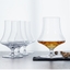 SPIEGELAU Verre à whisky anniversaire Willsberger en action