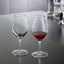 SPIEGELAU Perfect Serve Collection Tasting Glass in use