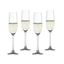 SPIEGELAU Salute Bicchiere da Champagne 
