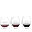 RIEDEL The Key to Wine Red Wine Set 