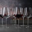 SPIEGELAU Definition Bicchiere Bordeaux in uso