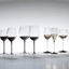 RIEDEL Sommeliers Black Tie Vintage Champagne Glass in the group