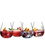 RIEDEL Gin Tonic Set Contemporary filled with a drink on a white background