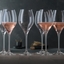 SPIEGELAU Special Glasses Champagne Sparkling Party - 450ml 