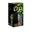 NACHTMANN Quartz Vase - 26cm | 10.25in in the packaging