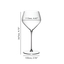 RIEDEL Veloce Tasting Set 